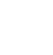 KIO butterfly